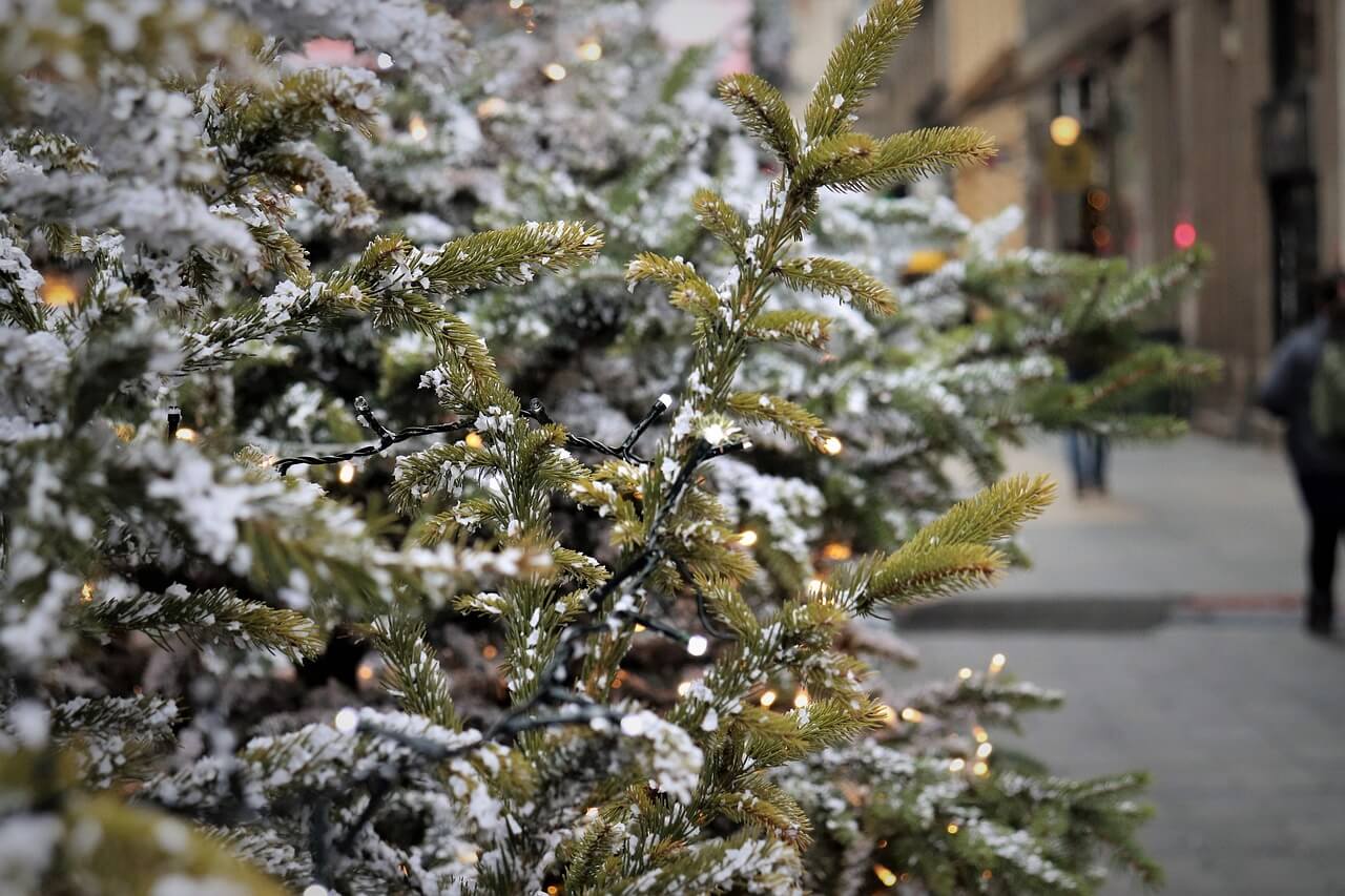 Kerstshoppen in Sprookjessfeer bij Intratuin